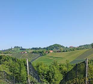 Weingebiet Südsteiermark
