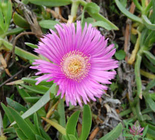 Burgberg Alanya - Einblicke/Ausblicke