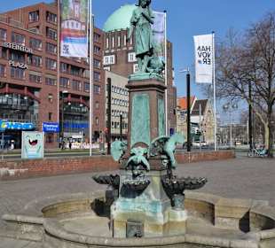 Ansichten des Gänseliesel-Brunnens