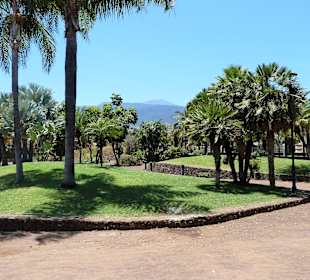 Wandern Puerto de la Cruz 