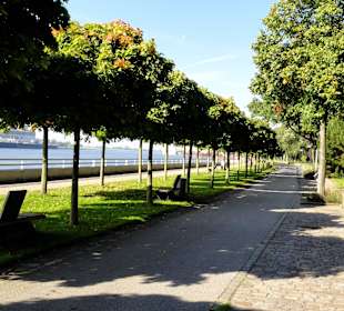 Spaziergang an der Weserpromenade