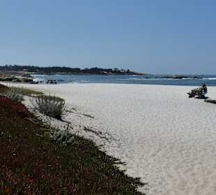 Strand im Naturschutzgebiet