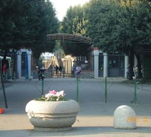 Pompeje