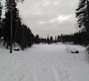 Blick auf den zugefrorenen Teich