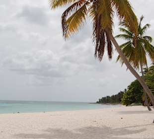 Alleine Am Strand von Saona
