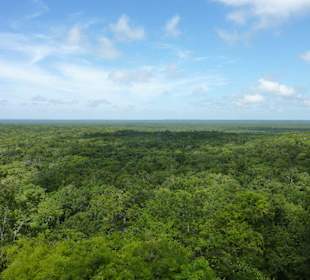 Calakmul