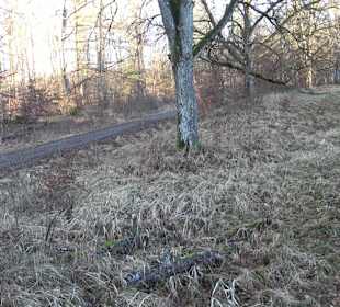 Wanderung rund um den Ochsenweiher