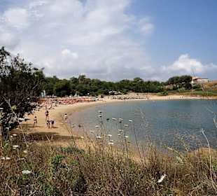 Plaża w Kato Daratso.
