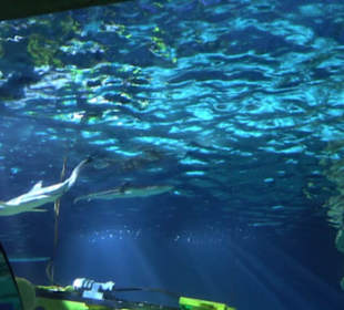  Lego X-Treme - Legoland Atlantis by SEA LIFE