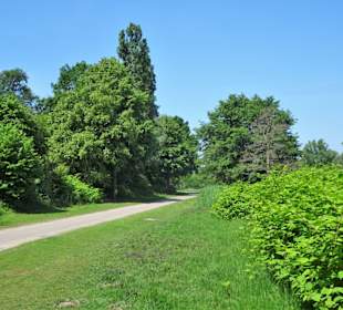 Rundweg um den Krimpelsee