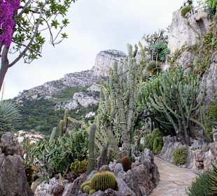Jardin dÉxotique - Monaco