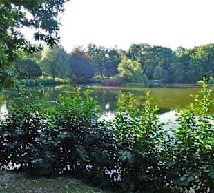 Spaziergang durch den Stadtpark Lübeck