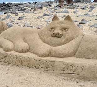 Dünen von Maspalomas