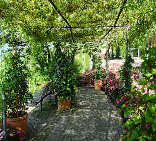 Impressionen vom Rundgang durch die Gärten