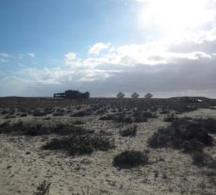 Ria Formosa NaturPark