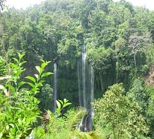 Sekumpul Wasserfälle