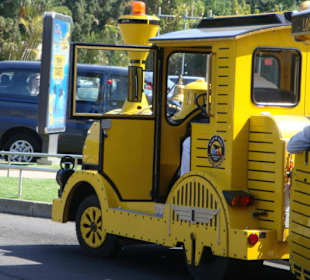 Zug zum „Loro Parque" Park