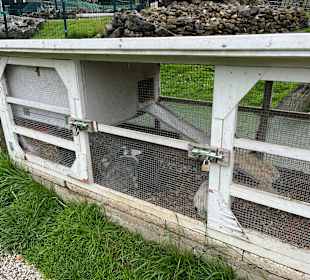 Kinderbauernhof Het Bukske