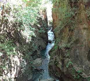 Ausblick beim Ziplining