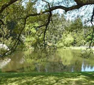 Průhonice
