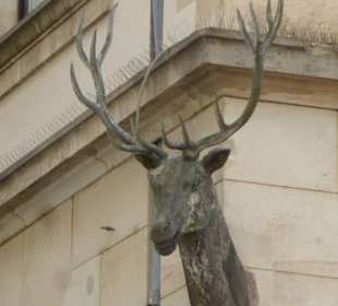 Am Marktplatz in der Altstadt von Meißen