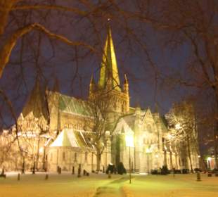 Stadtrundgang Nidarosdom Trondheim