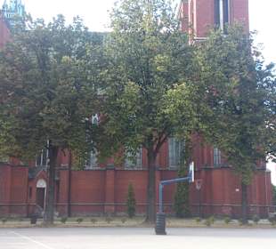 Kościół
