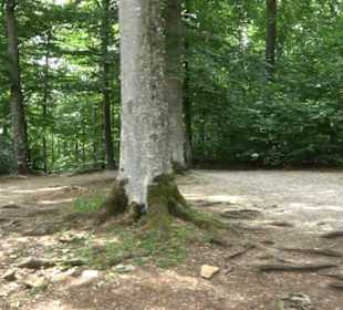 Hochgeträumt Premiumwanderung
