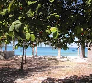 Im Bereich des National Parks