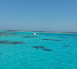 Privater Schnorchelausflug