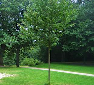 Teetzpark