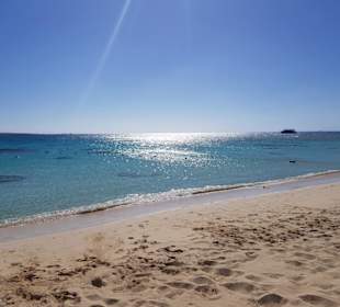 Die Insel
