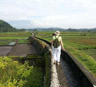 Auf dem Weg in die Reisfelder