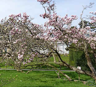 Wilhelma Stuttgart
