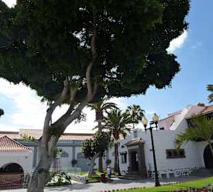 Las Palmas de Gran Canaria