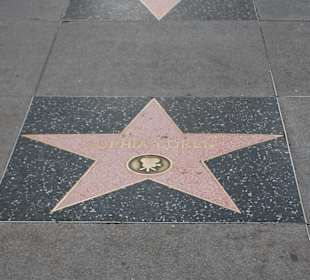Walk of stars
