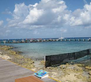 Blick auf die Delphinbecken