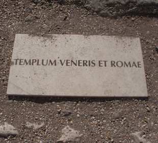 Im Forum Romanum.