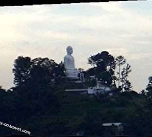 Der Buddha hoch oben