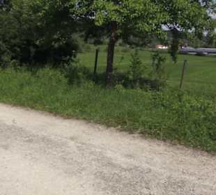 Hohenloher Freilandmuseum