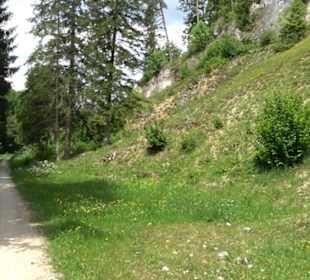 Tiefental Aichstetten