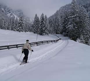 Schneeschuhlaufen in der Einsamkeit