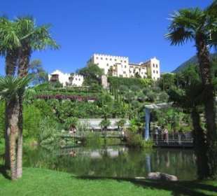 Wassergarten mit Schloss Trautmansdorff