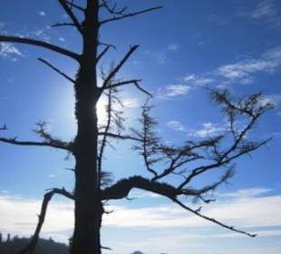 Auf dem Wild Pacific Trail