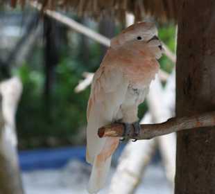 Manati Park
