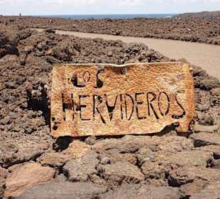 Bei starken Seegang echt cool