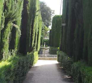 Gartenanlage