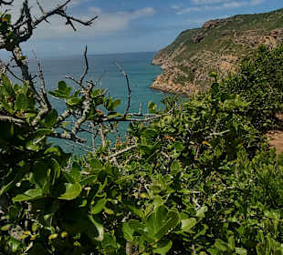 Wanderroute über Robberg Peninsula