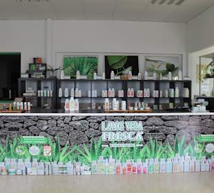 Aloe Vera Infocenter Lanzarote - Yaiza
