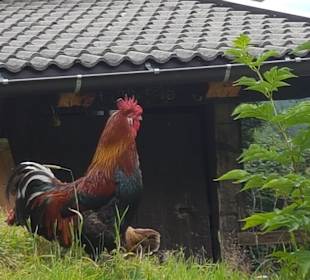 Wanderung Passeiertal